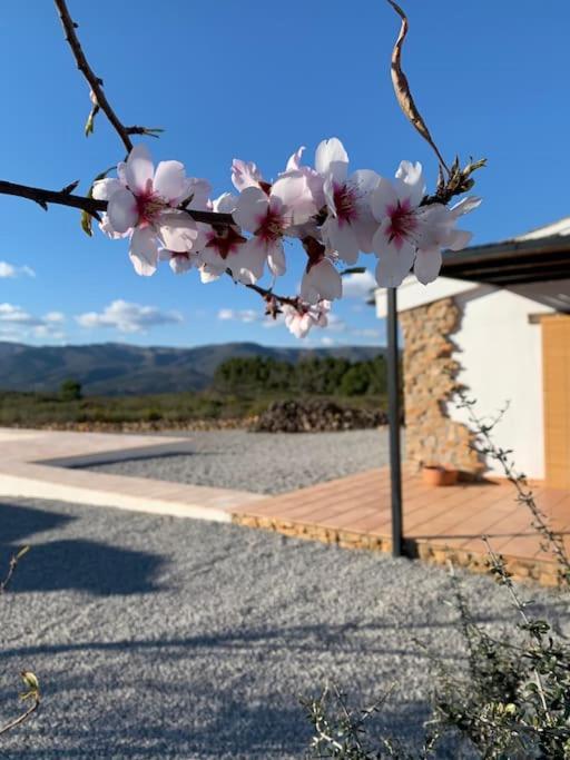 La Llobatera Casa Rural Les Coves de Vinroma Zewnętrze zdjęcie